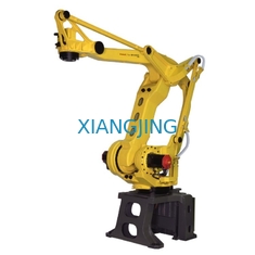 Fanuc usou o robô industrial para Palletizer com a máquina robótico da pálete do braço de 4 linhas centrais